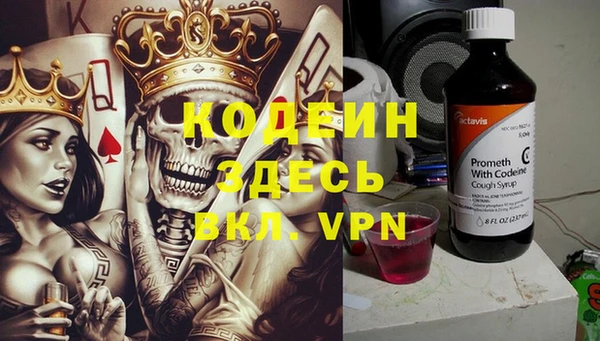хмурый Долгопрудный