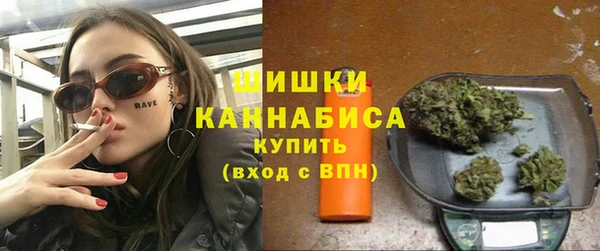 сатива Новый Уренгой