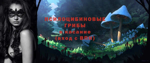 дмт Одинцово