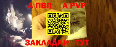 гашик Кингисепп