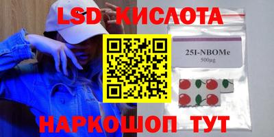 гашик Кингисепп