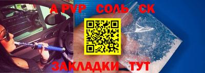гашик Кингисепп