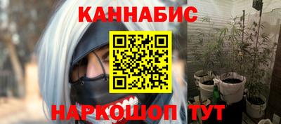 гашик Кингисепп
