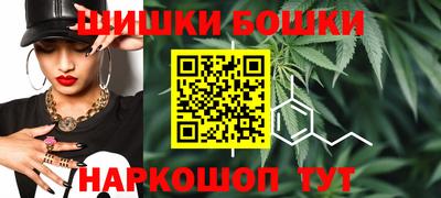 гашик Кингисепп