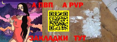 гашик Кингисепп