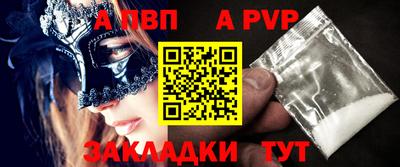 гашик Кингисепп