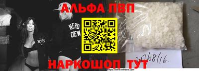 гашик Кингисепп
