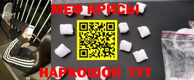 гашик Кингисепп