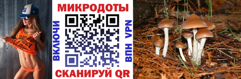 Галлюциногенные грибы Cubensis  Заринск 