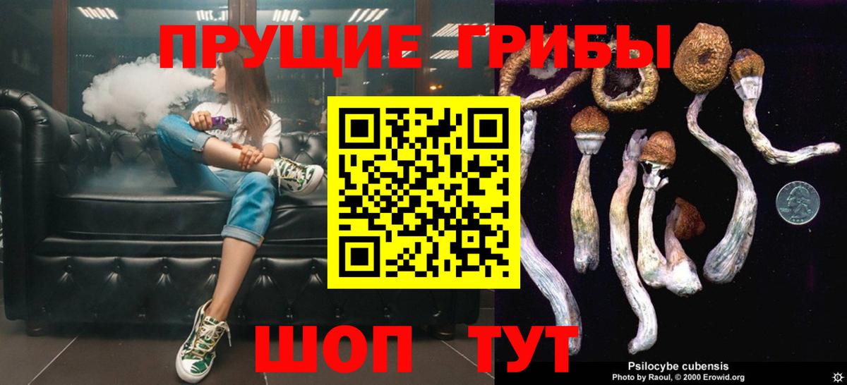 Галлюциногенные грибы GOLDEN TEACHER  как найти наркотики  Заринск 