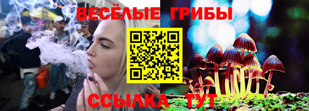 Псилоцибиновые грибы ЛСД Заринск